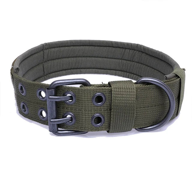 Adjustable Dog Collar