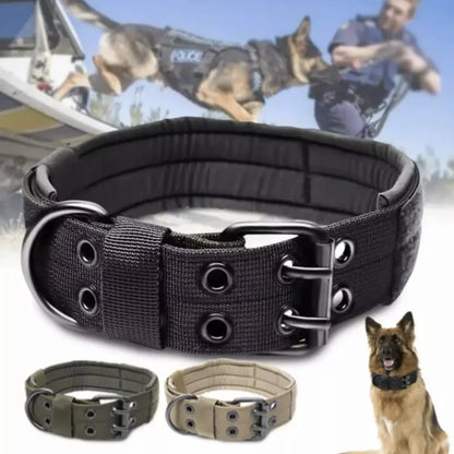 Adjustable Dog Collar