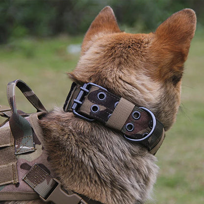 Adjustable Dog Collar