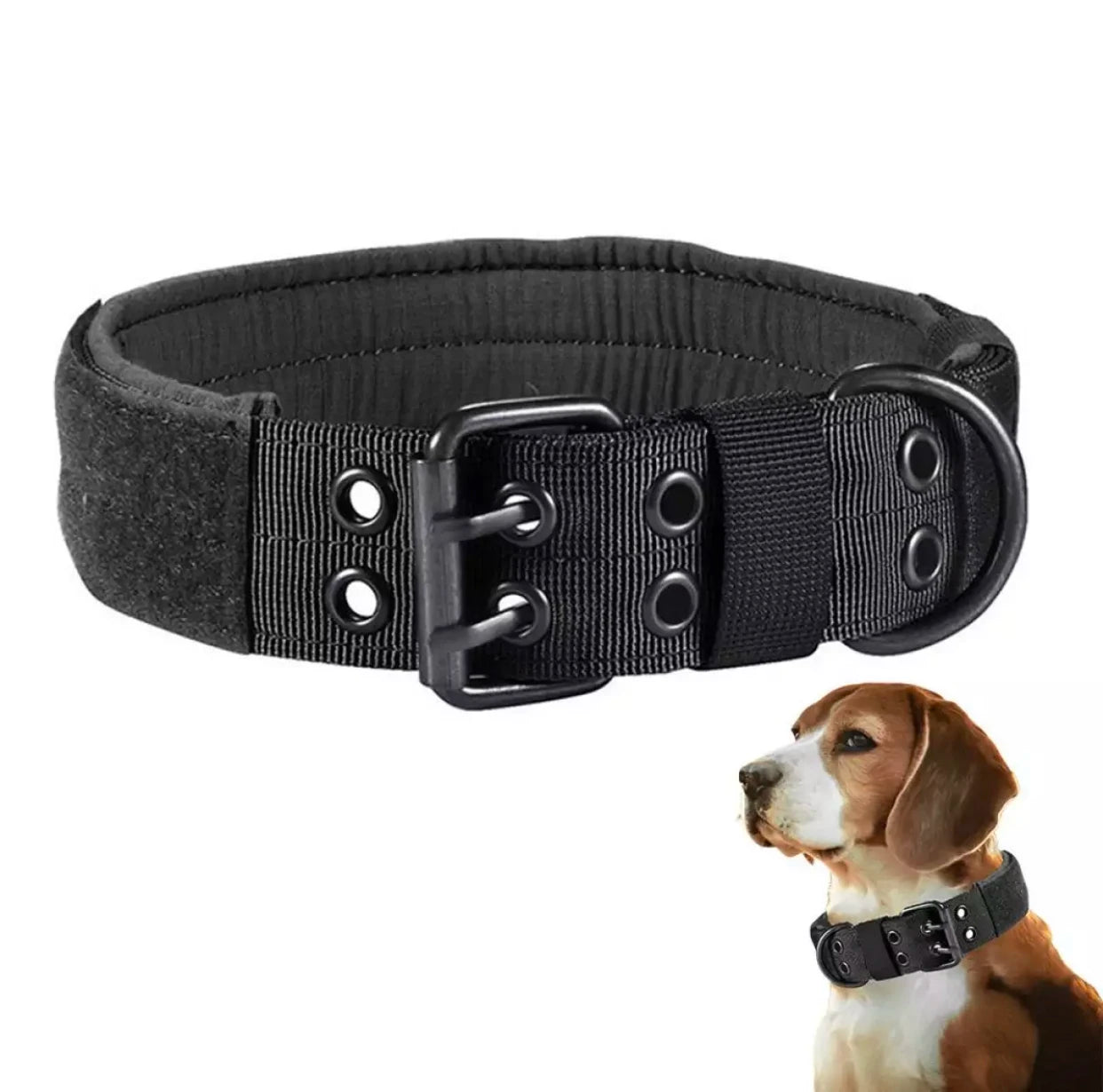 Adjustable Dog Collar