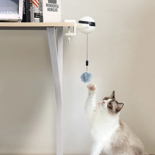 Automatic Lifting Cat Toy