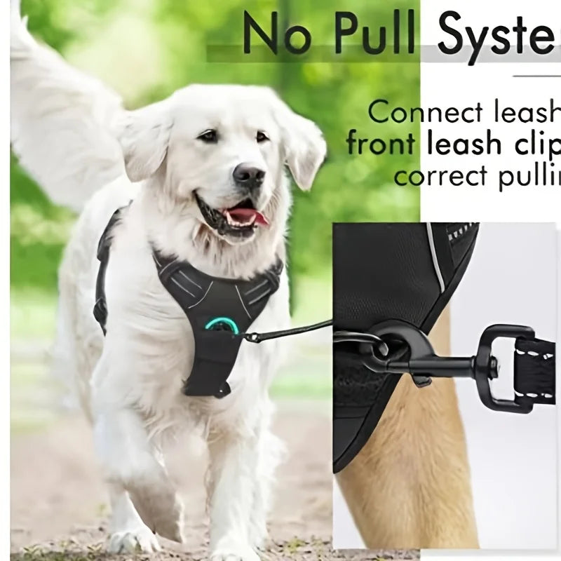 Dog Harness