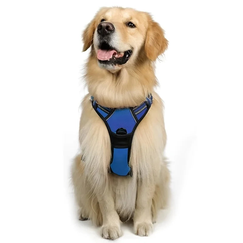 Dog Harness