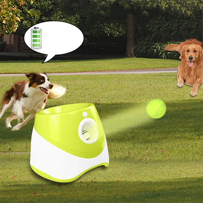 Pet Chase Toy