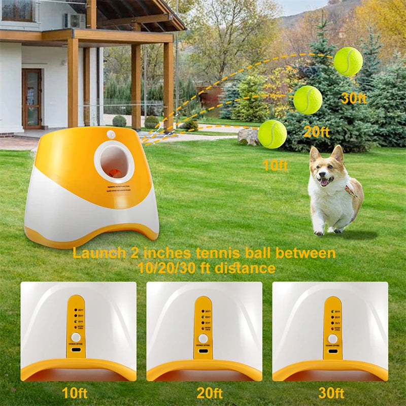 Pet Chase Toy