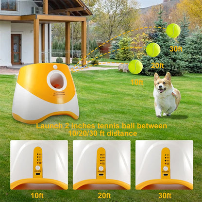 Pet Chase Toy