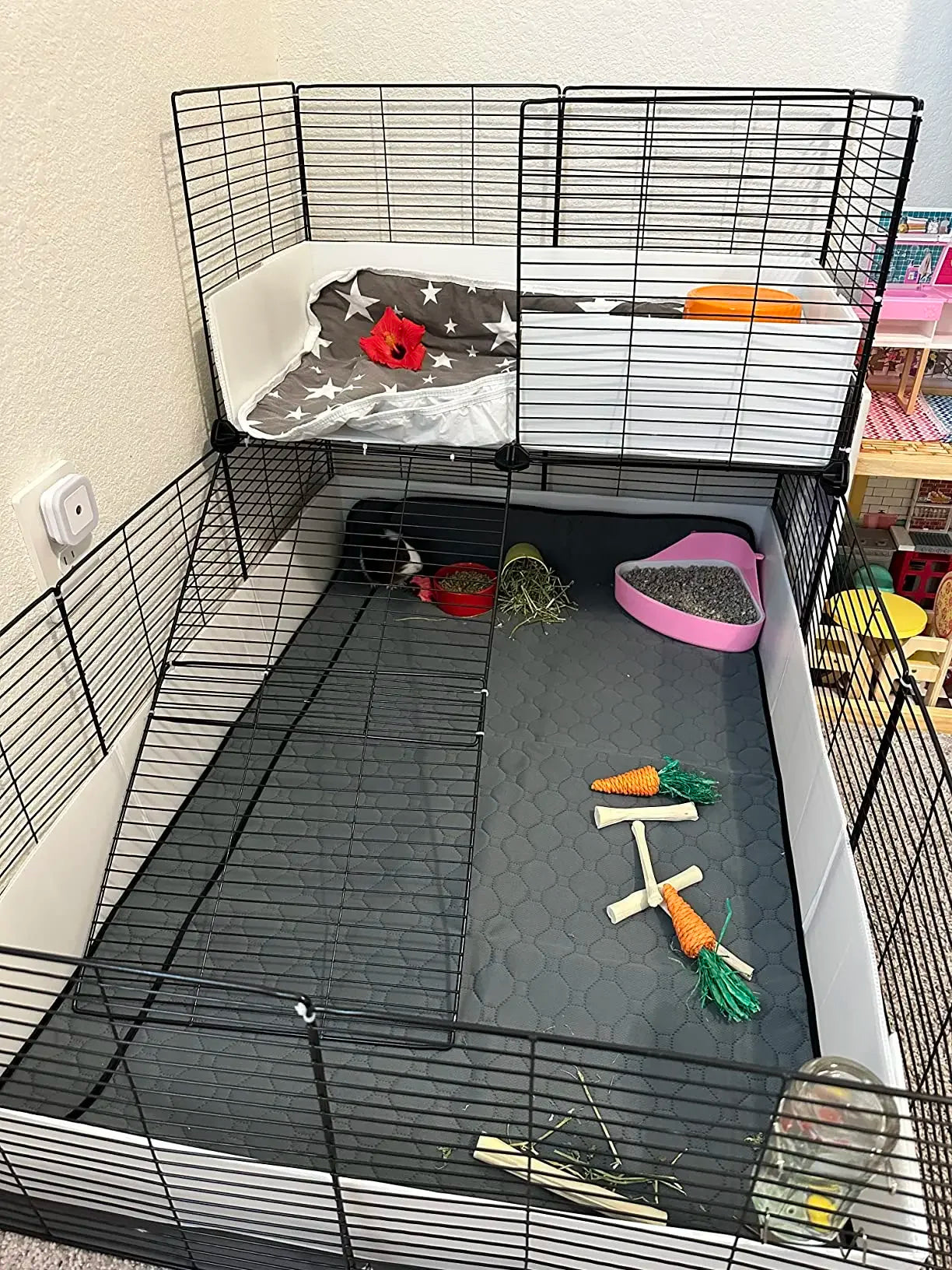 Guinea Pig Cage