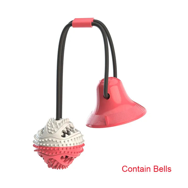 Pet Ball Toys