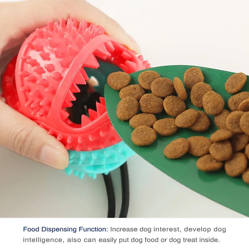 Pet Ball Toys