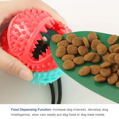 Pet Ball Toys