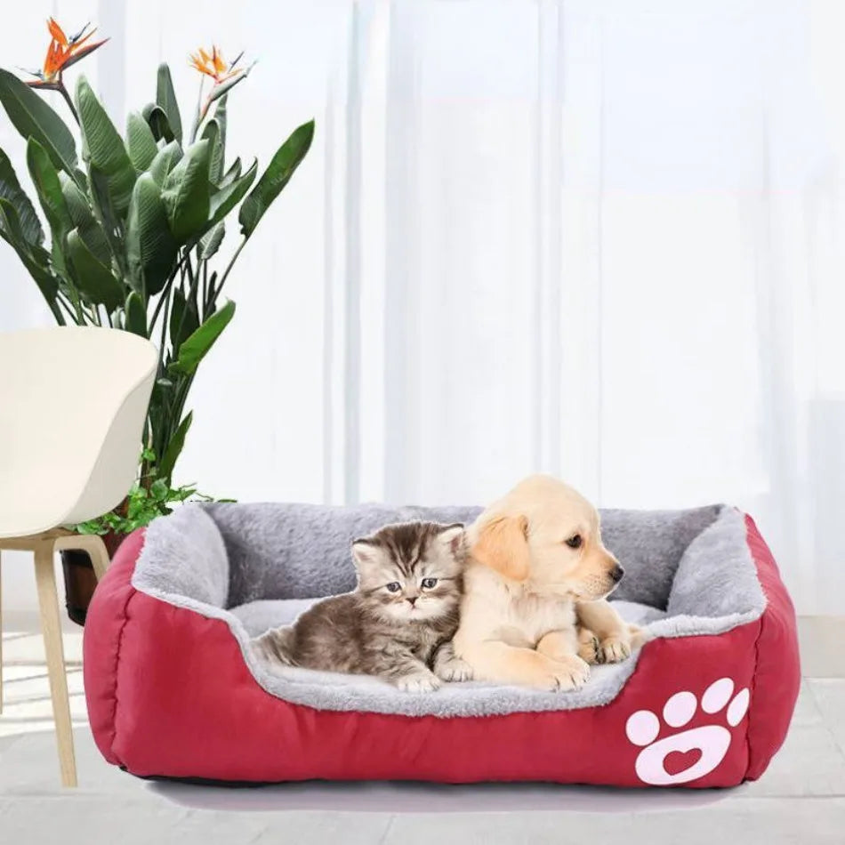 Pet Large Bed