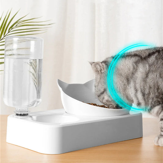 Pet Feeding Bowl