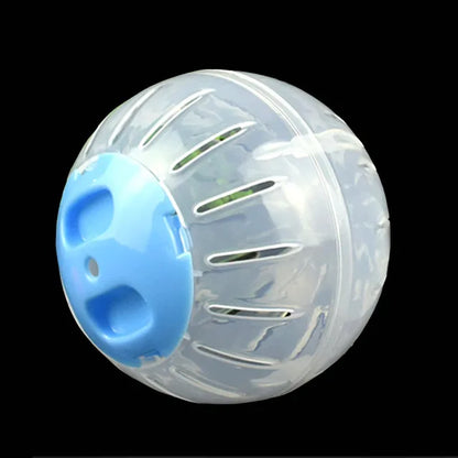 Plastic Outdoor Sport Ball