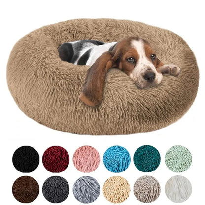 Round Cat Beds House