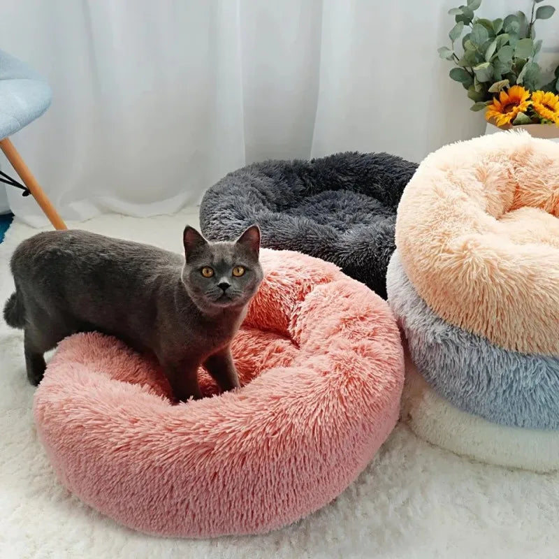 Round Cat Beds House