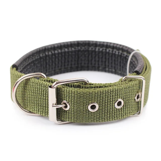 Nylon Collar For Dogs