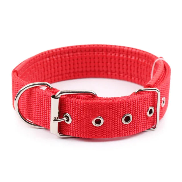 Nylon Collar For Dogs