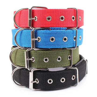 Nylon Collar For Dogs