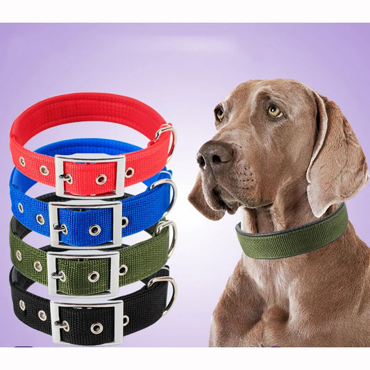 Nylon Collar For Dogs